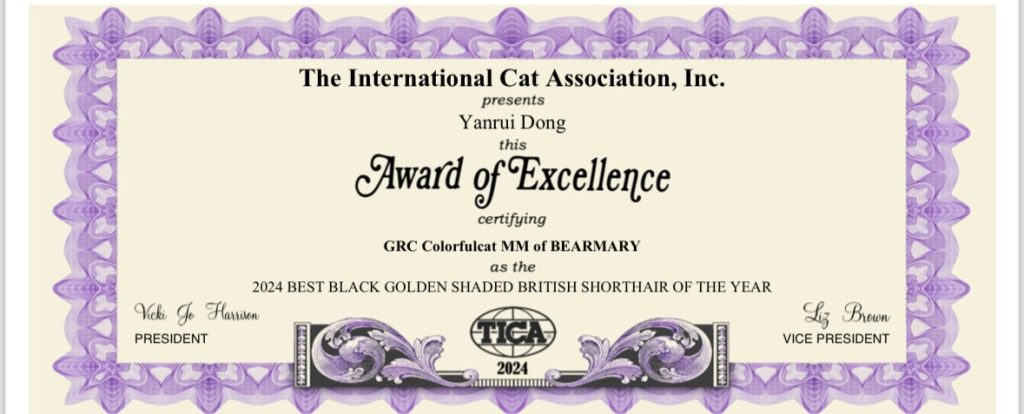 cat show certificate
