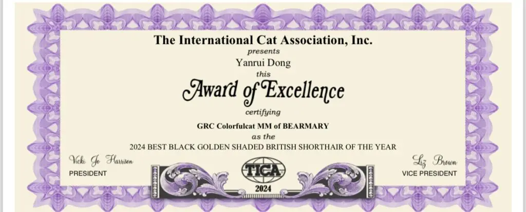 cat show certificate