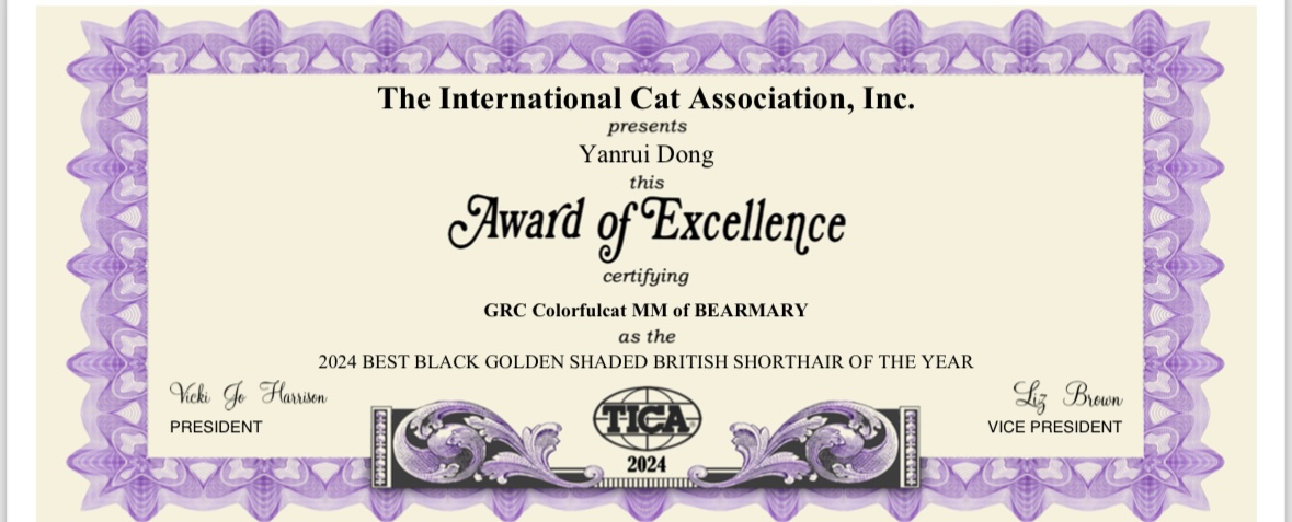 cat show