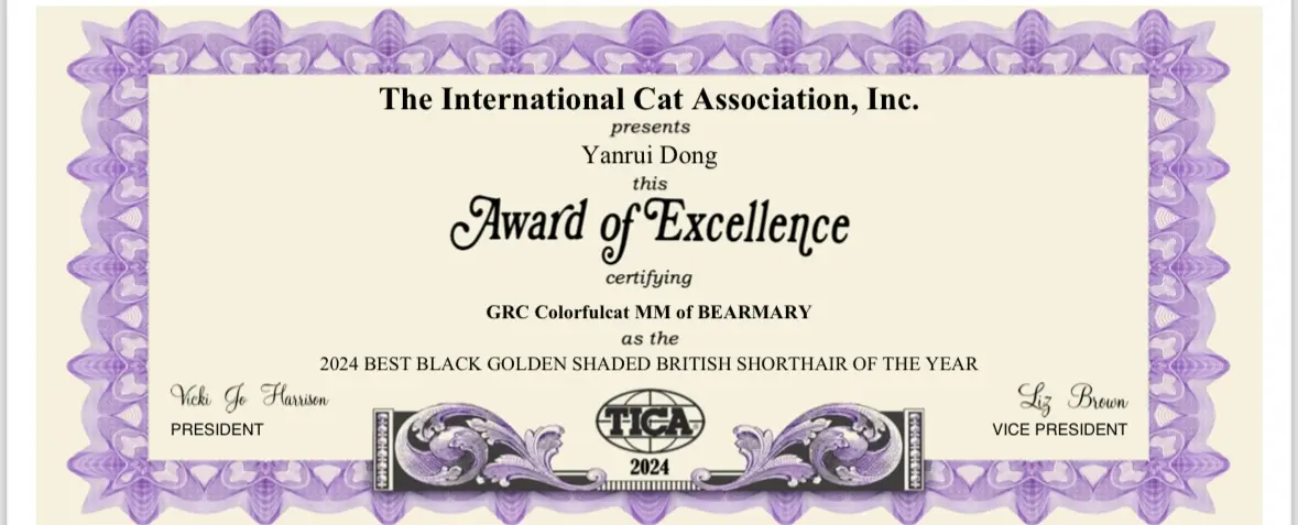 cat show