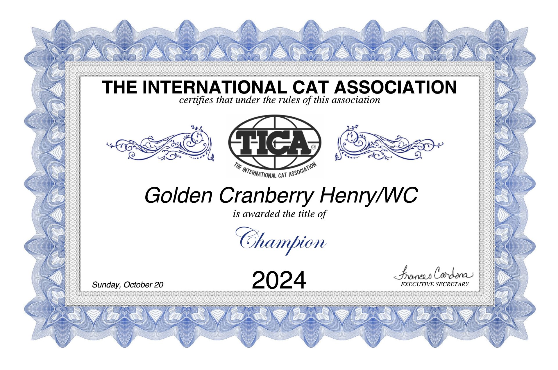 Cat Show Toronto