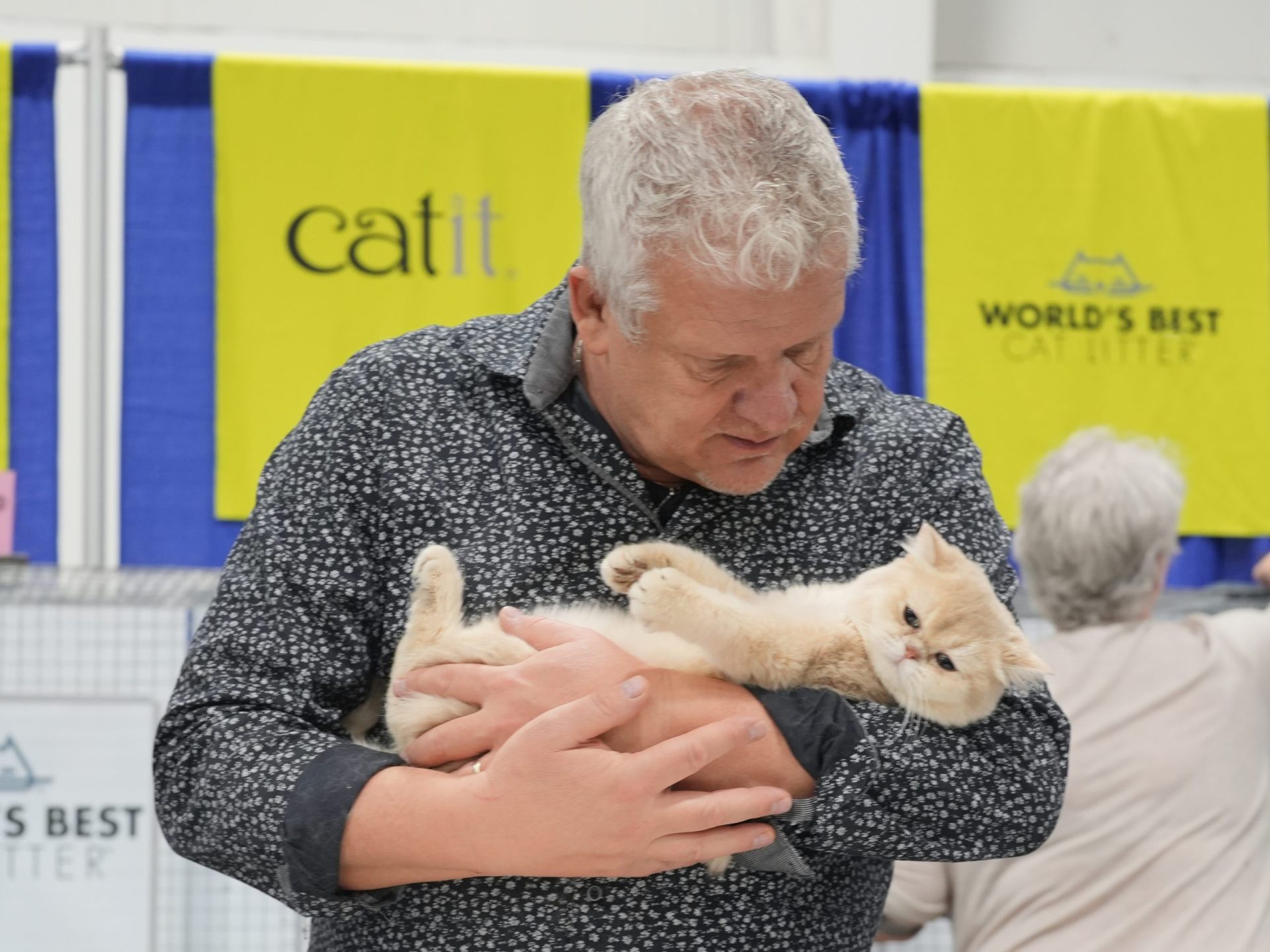 cat show toronto 2024