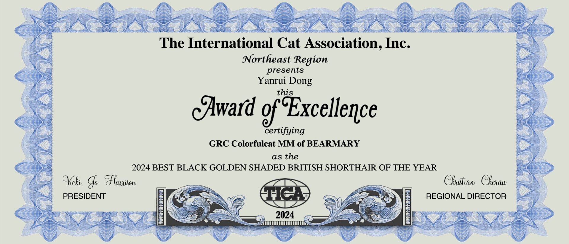 cat show