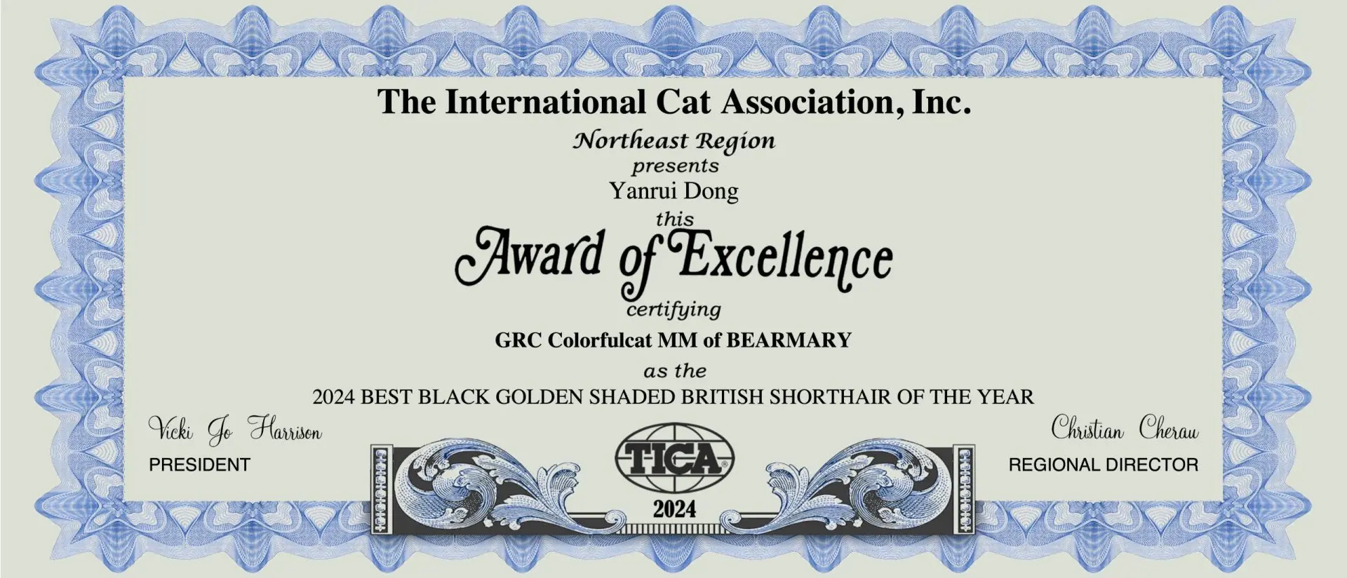 cat show
