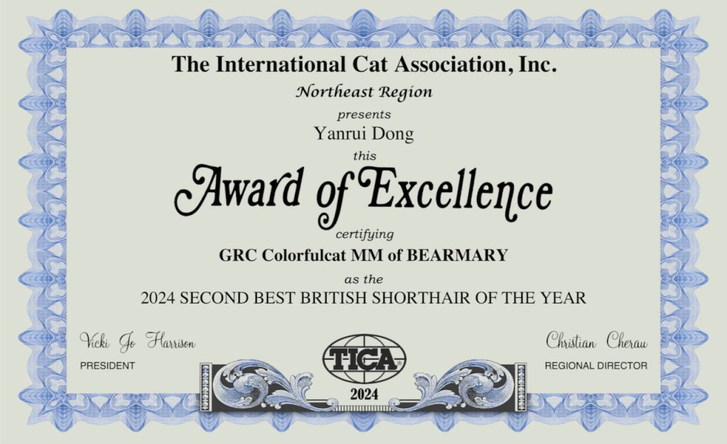 cat show certificate