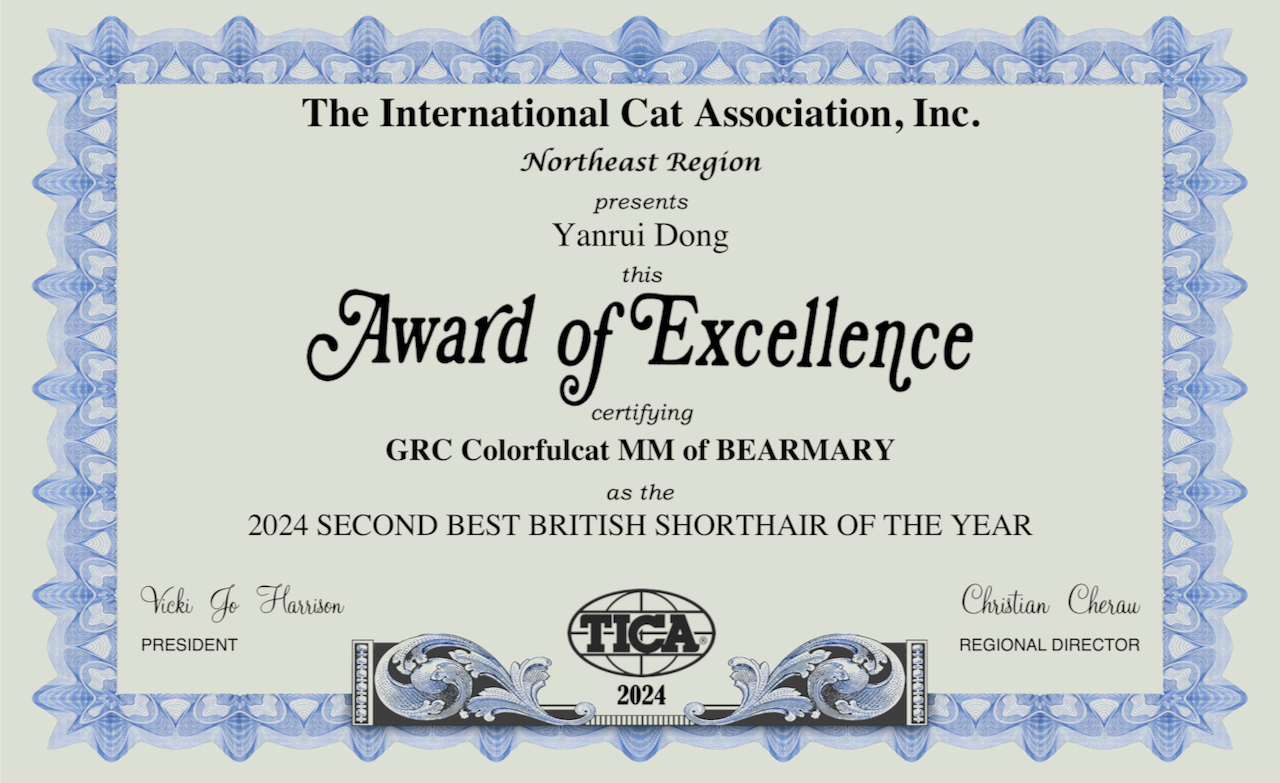 cat show