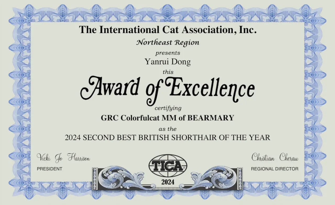 cat show