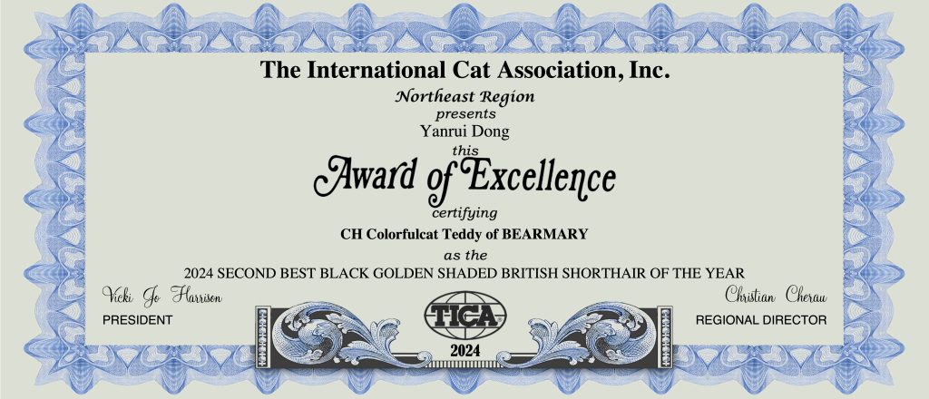 cat show certificate