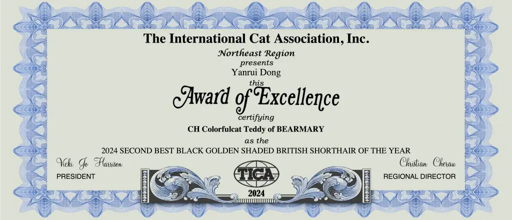 cat show certificate