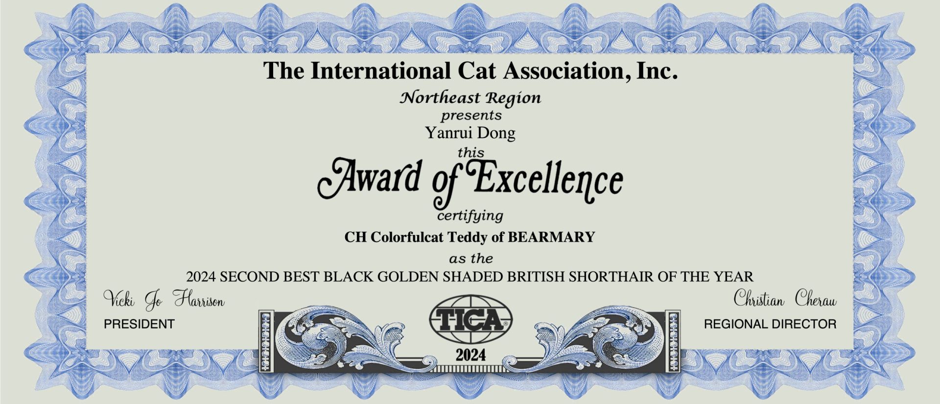 Teddy’s Award: Recognized by TICA Northeast Region - British Shorthair for sale & British Longhair Kittens for sale