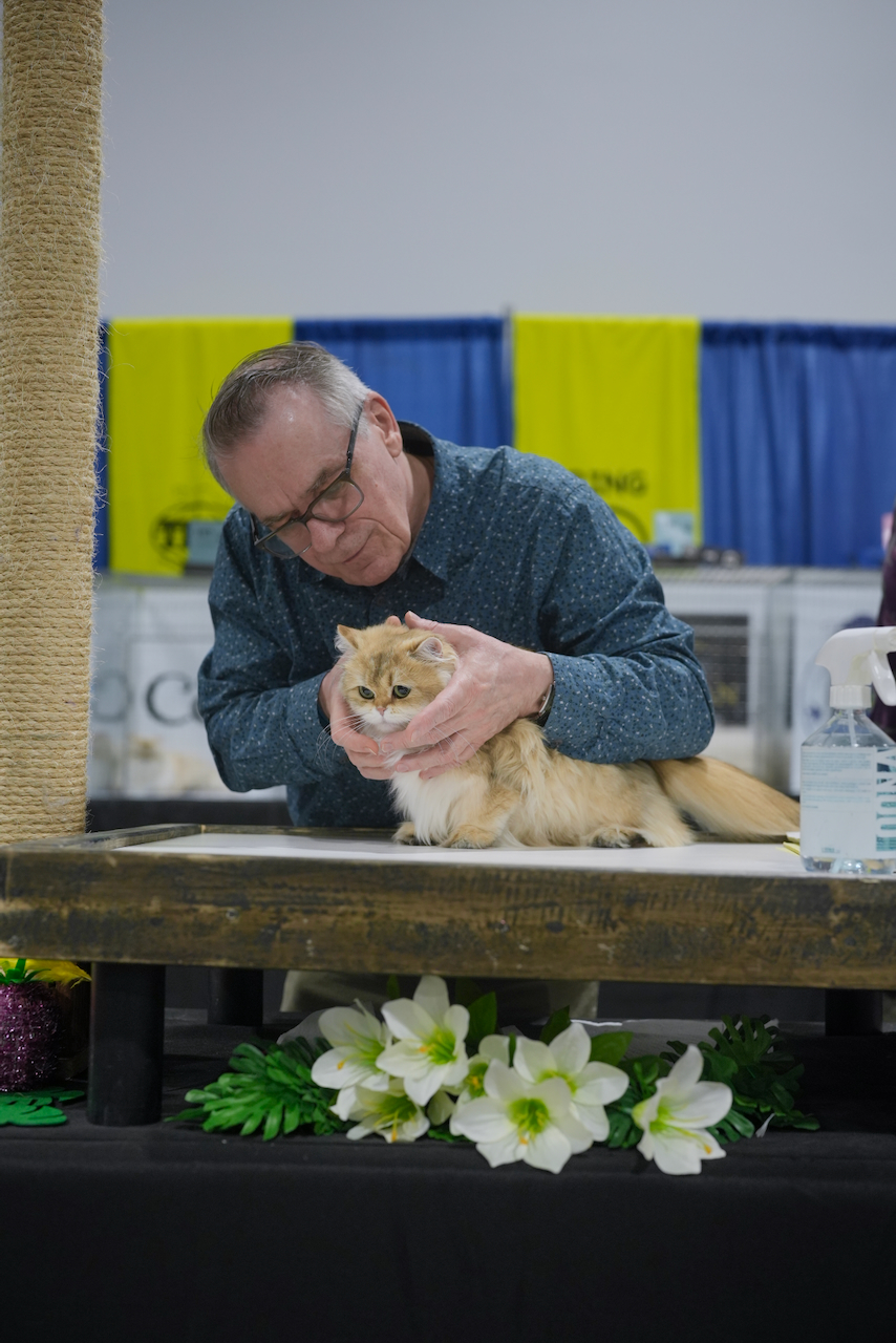 ottawa cat show​