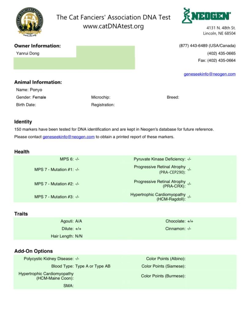 DNA Test For Kings And Queens - British Shorthair for sale & British Longhair Kittens for sale