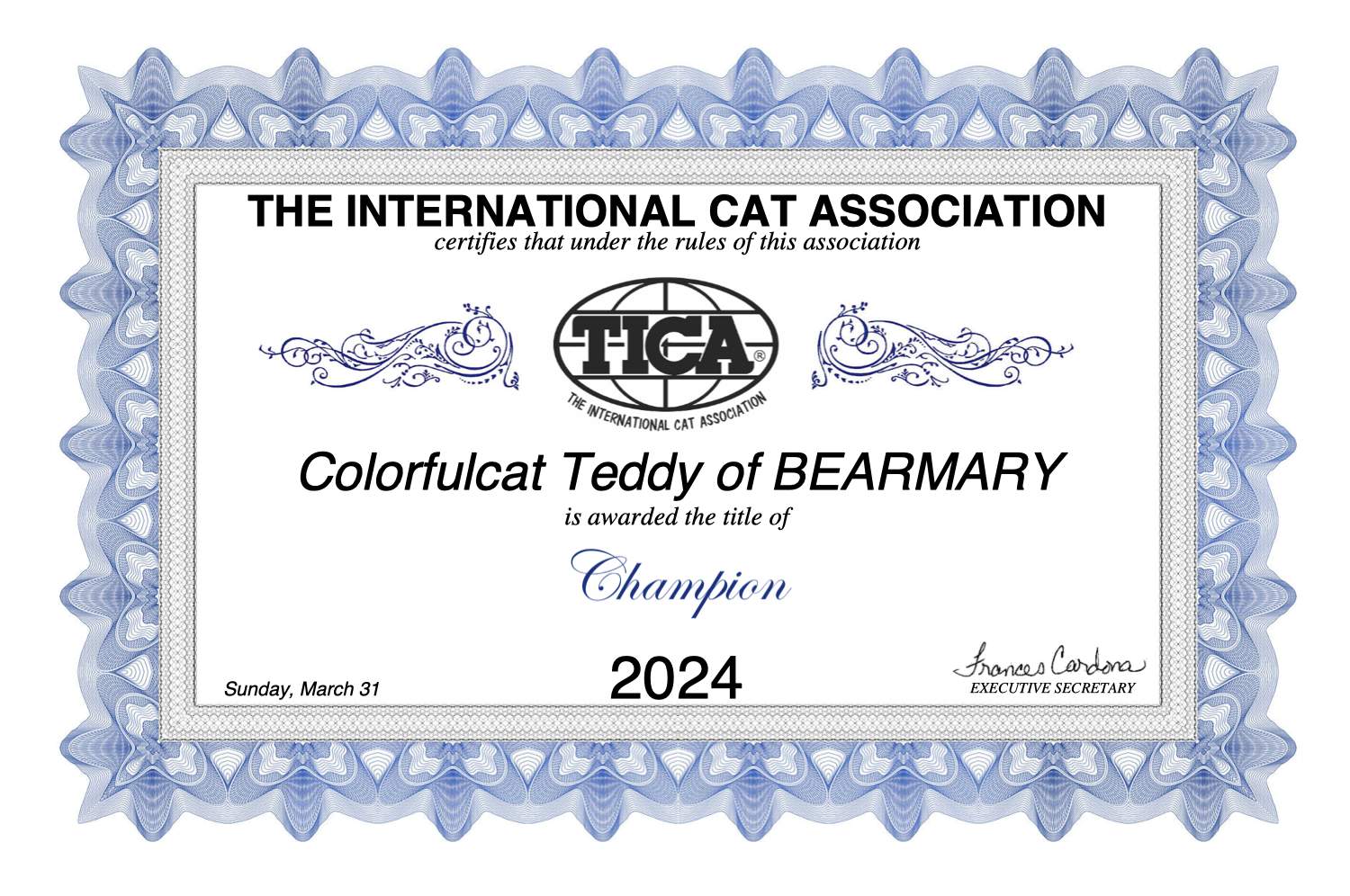 cat show toronto 2024