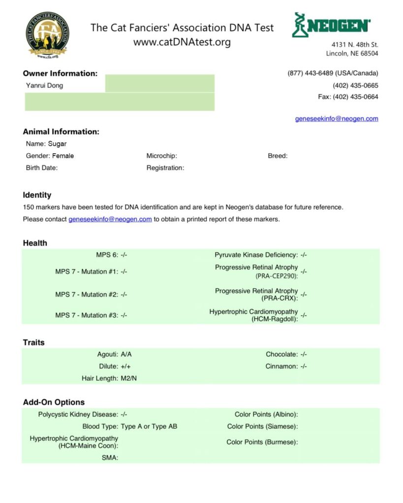DNA Test For Kings And Queens - British Shorthair for sale & British Longhair Kittens for sale