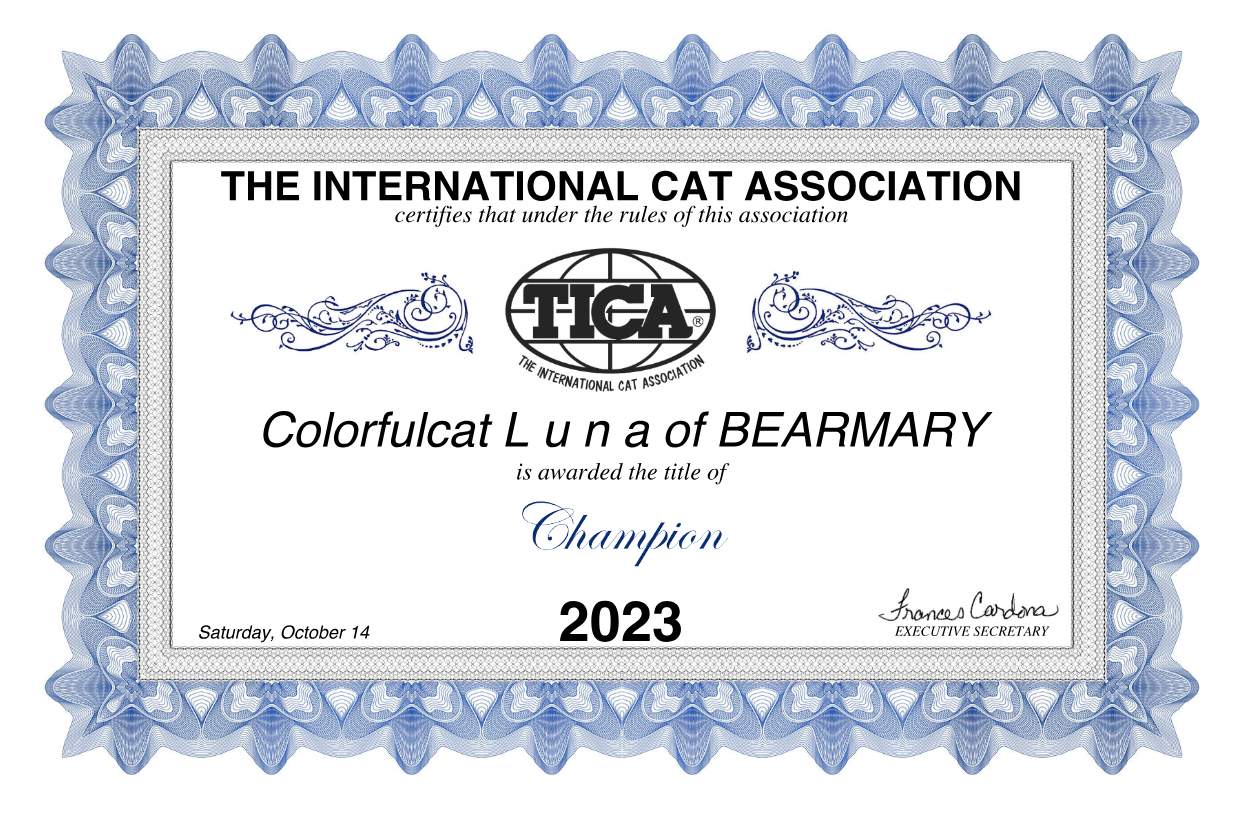 cat show ottawa