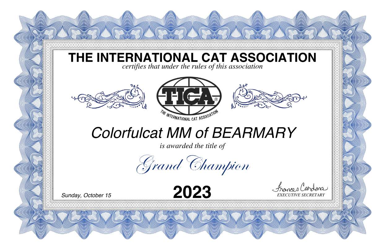 cat show ottawa
