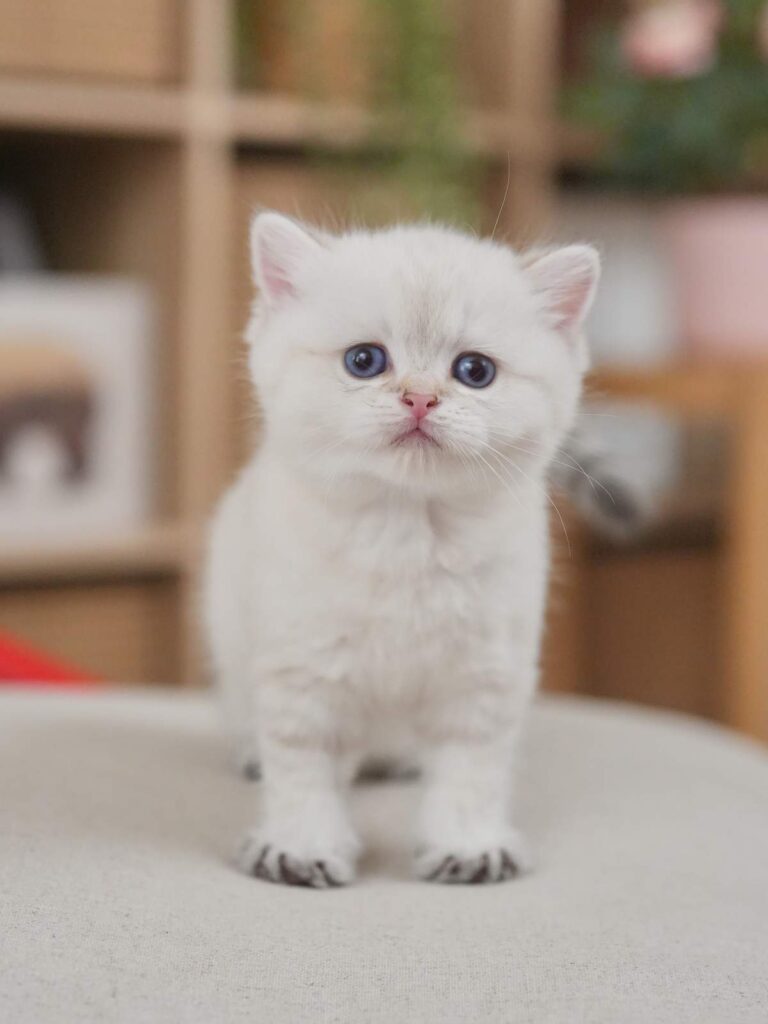 nova_DSC01559_result