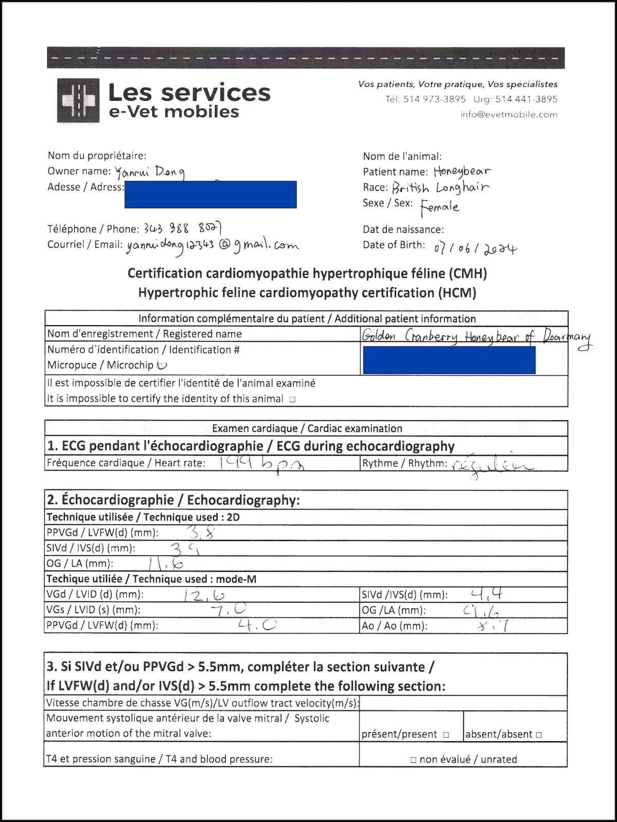Honeybear HCM screening measurement page with echocardiography values