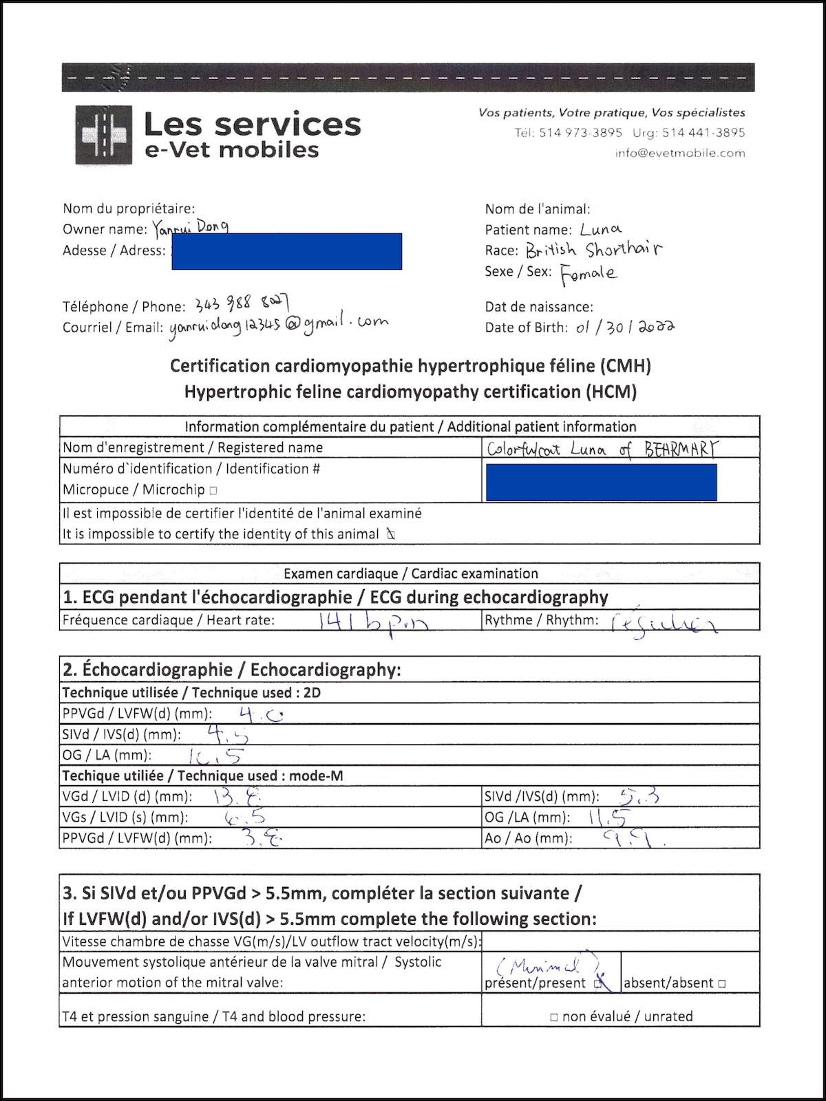 Luna HCM screening measurement page with echocardiography values