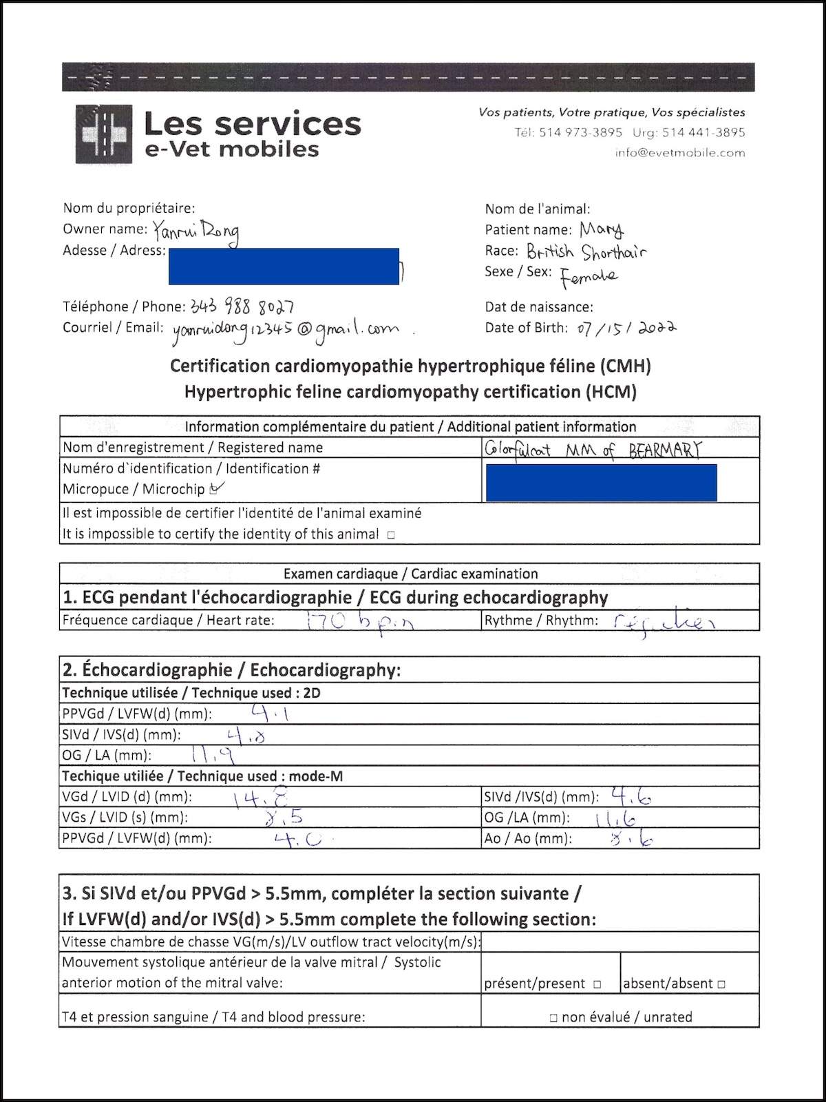 Mary HCM screening measurement page with echocardiography values