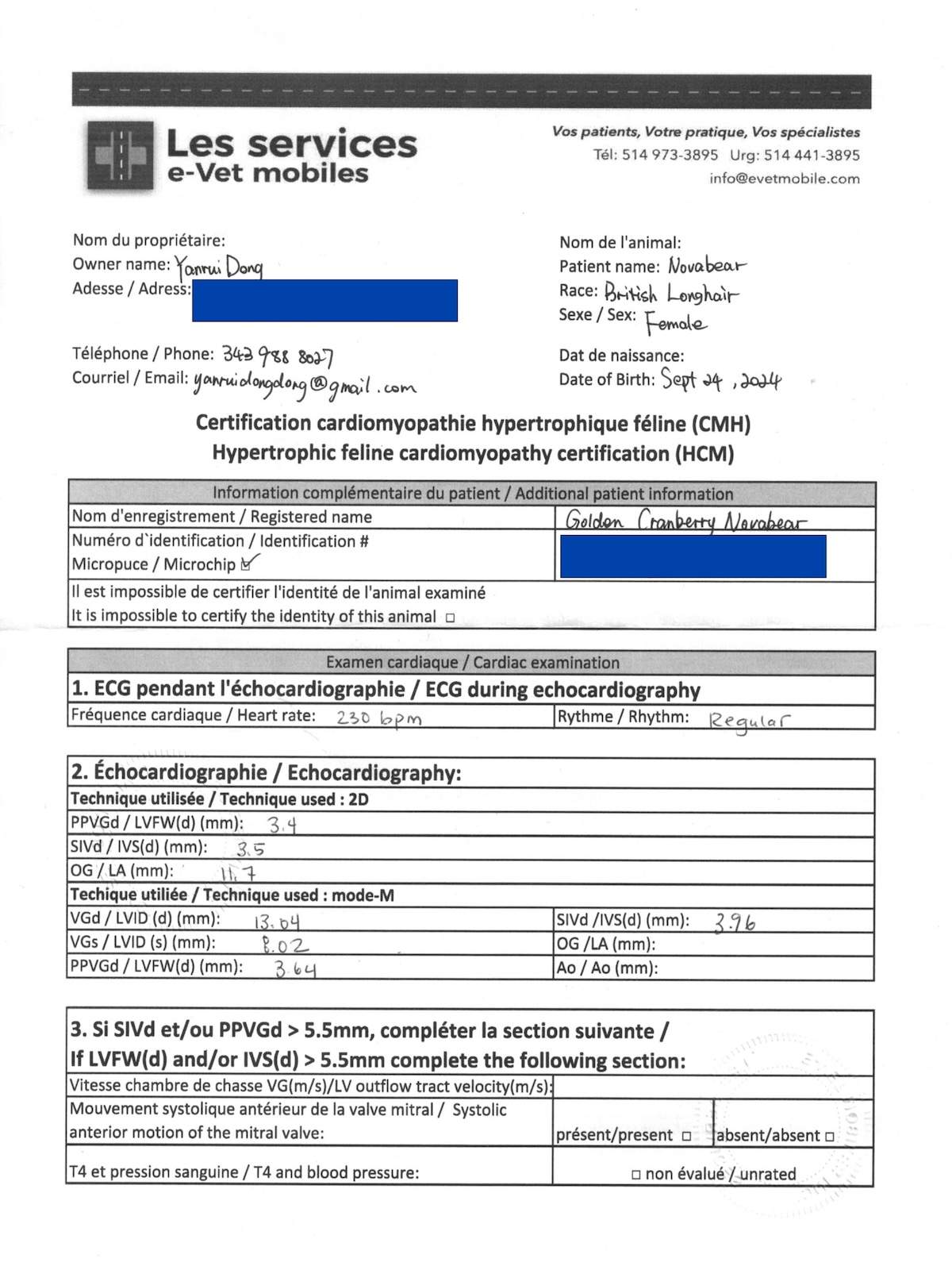Novabear HCM screening measurement page with echocardiography values