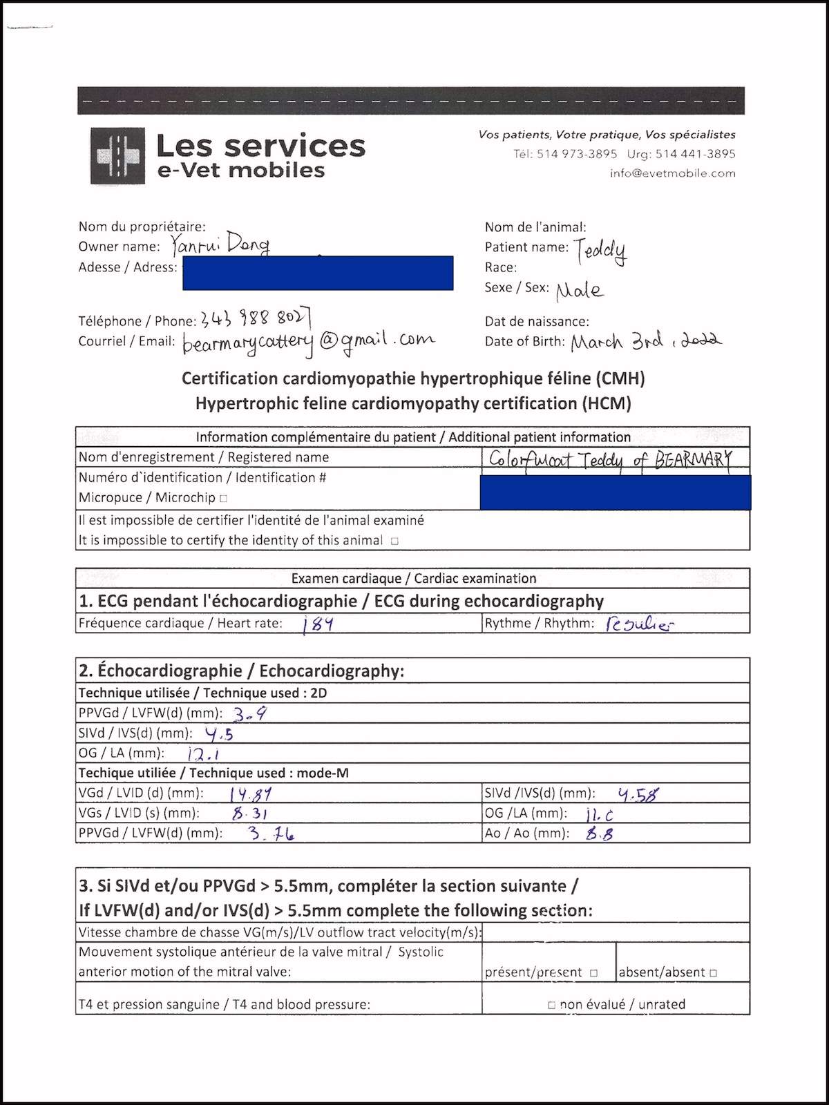 Teddy HCM screening measurement page with echocardiography values