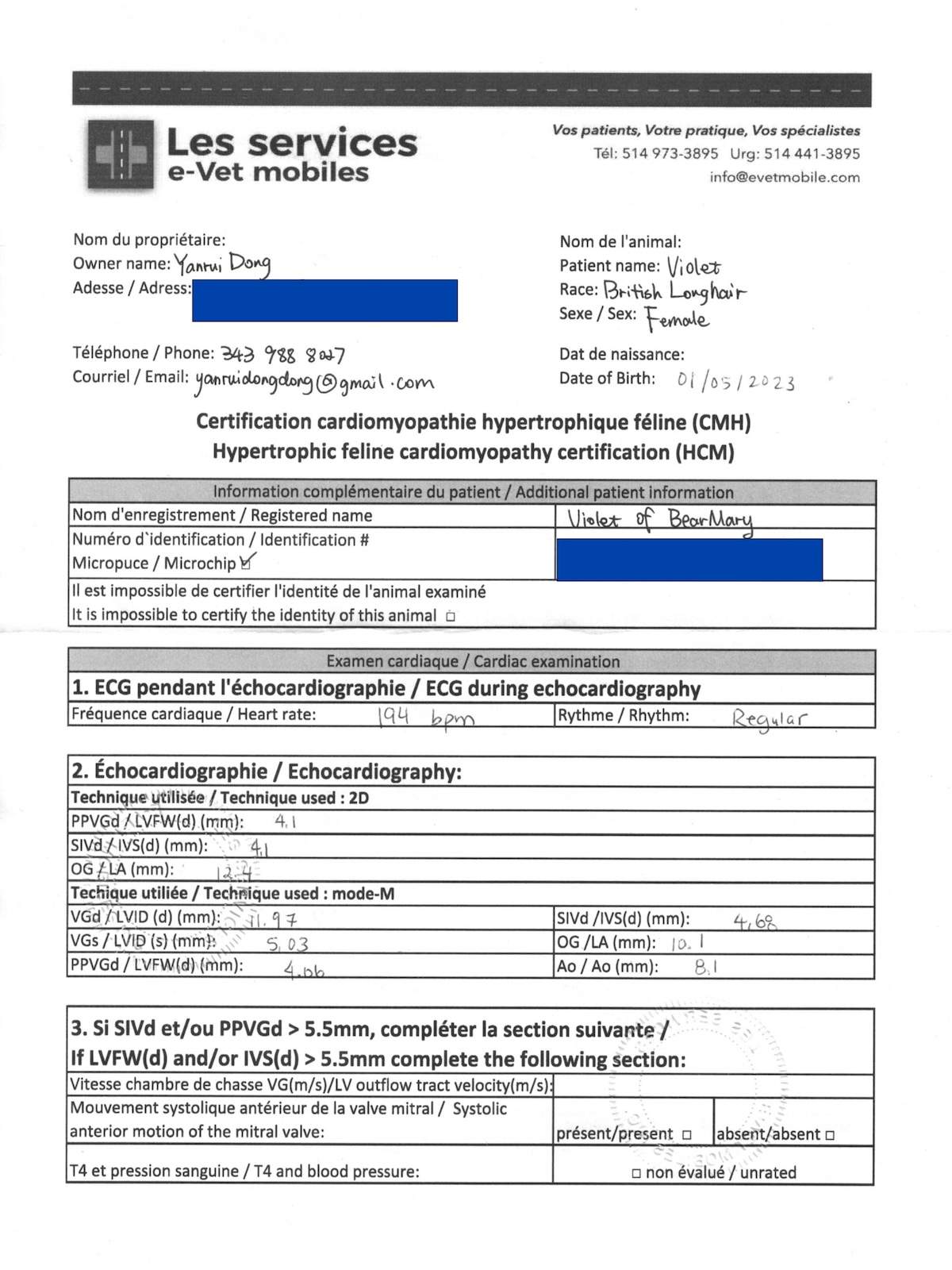 Violet HCM screening measurement page with echocardiography values