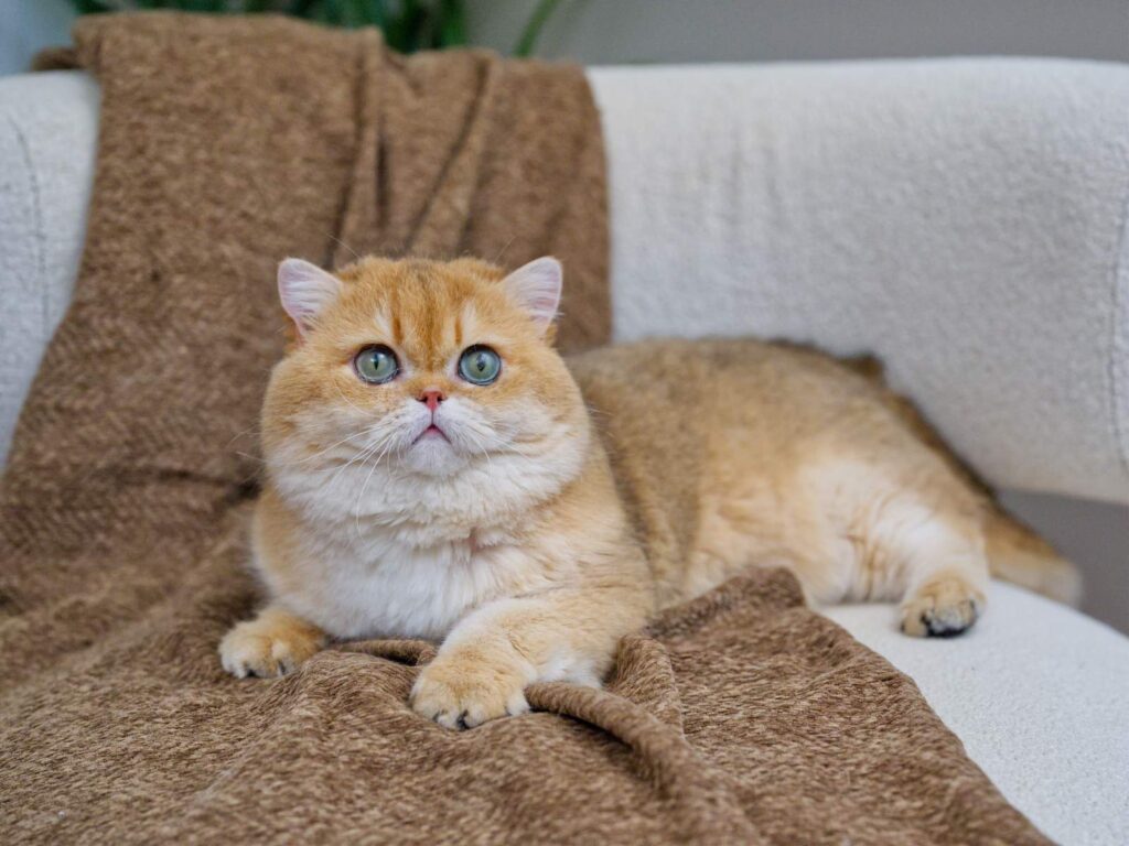 DSC00513